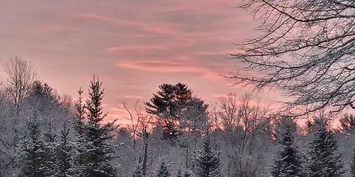 Christmas Tree Season - A Weekend of Giving