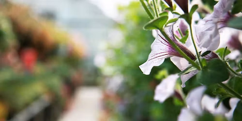 Summer Kickoff Event