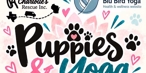 Puppies & Yoga \ud83d\udc36\ud83e\uddd8\u200d\u2640\ufe0f 