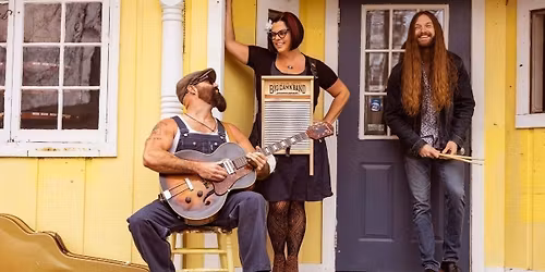 The Reverend Peyton's Big Damn Band