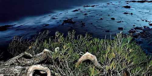 Archipelago | \u0421\u0440\u0435\u0449\u0430-\u0440\u0430\u0437\u0433\u043e\u0432\u043e\u0440 \u0441\u044a\u0441 \u0421\u0442\u0440\u0430\u0442\u043e\u0441 \u041a\u0430\u043b\u0430\u0444\u0430\u0442\u0438\u0441