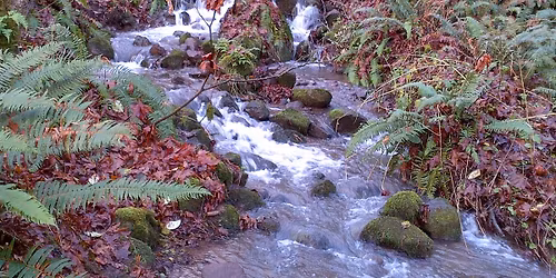 HV Hikers: "Neighbors" (easy)