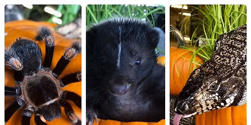 Face Your Fear and Trunk or Treat