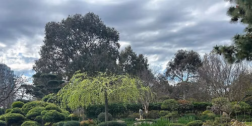 Forest Bathing Himeji Gardens