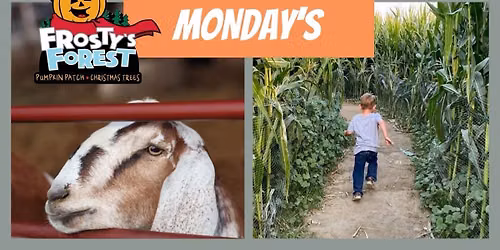FREE ADMISSION MONDAY @ FROSTY\u2019S FOREST PUMPKIN PATCH