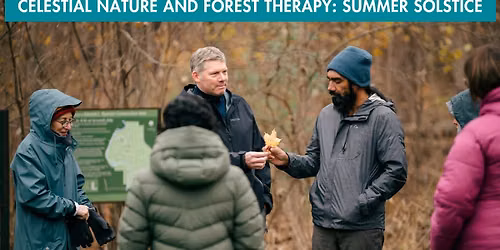 Celestial Nature and Forest Therapy: Summer Solstice