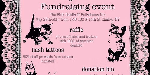 stray haven fundraiser 