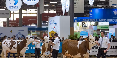 Salon de l'agriculture - Paris 