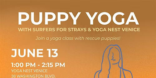 Puppy Yoga in Venice Beach w/ Surfers for Strays