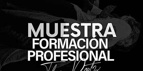 MUESTRA FORMACION PROFESIONAL THEROOTZ
