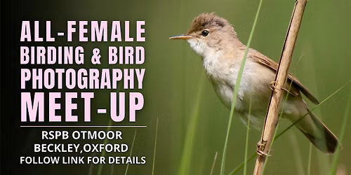 All-Female Birding & Bird Photography Morning