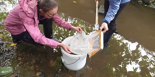 Riverfly Taster Evening -  Guardhouse Community Woodland