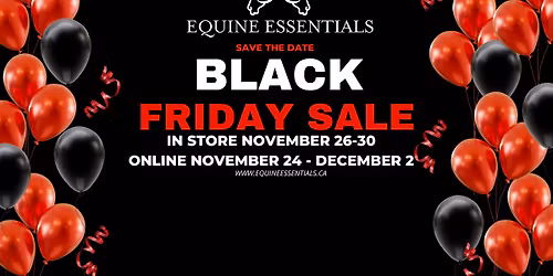 BLACK FRIDAY \/ 10 YEAR ANNIVERSAY SALE