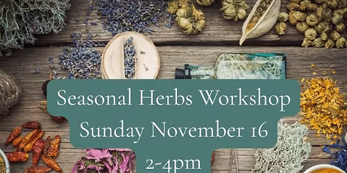 Fall Herbal Wellness with Golden Goddess Alchemy