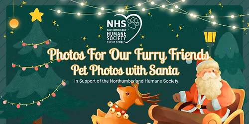 Photos For Our Furry Friends - Pet Photos with the BIG GUY himself