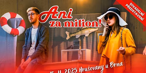Ani za milion!