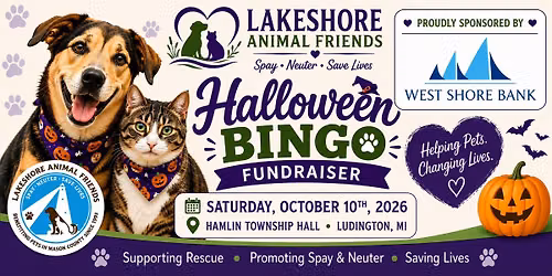 Lakeshore Animal Friends Fall 2026 Bingo Fundraiser