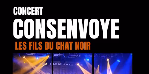 Repas concert festival Bars Bars -  "les fils du chat noir"