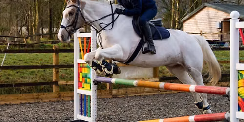 Clear Round Training Show