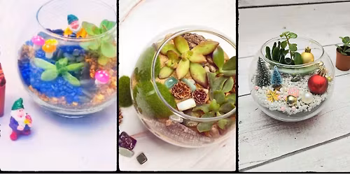 Make Your Own Terrarium at The Fox Restaurant & Brewery - Reno