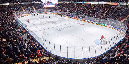 Brantford Bulldogs at Oshawa Generals at Tribute Communities Centre