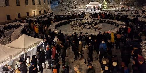 Zp\u00edv\u00e1n\u00ed u stromu 2025