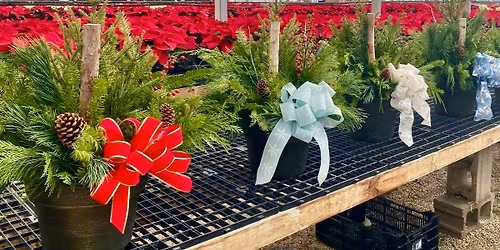 Winter Patio Pot Class