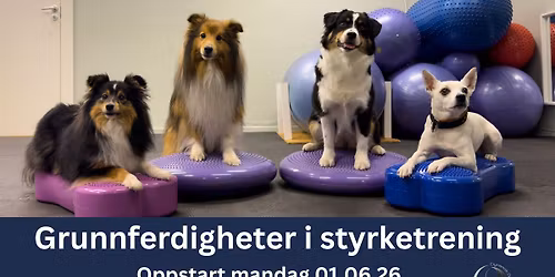 Grunnferdigheter i styrketrening