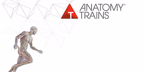 Anatomy Trains in Structure and Function