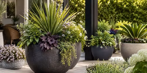 The Art of the Statement Planter