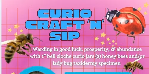 Cloche Curio Craft and Sip: 