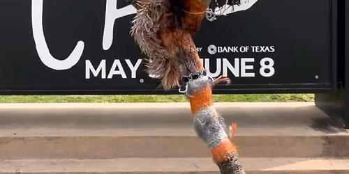 Cats - Presented by Theatre Kent at Chatham Capitol Theatre