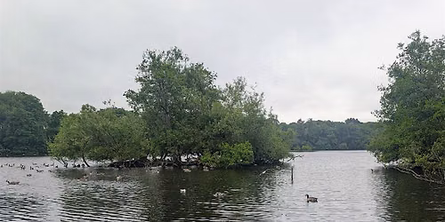 Group Therapy Walk at Witton Lakes, Erdington. Birmingham