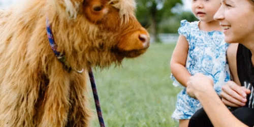Farm day at Celebration Villa of dillsburg