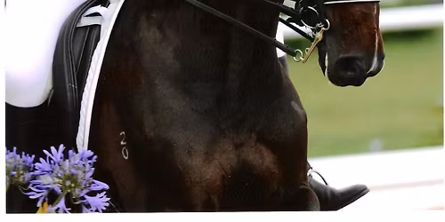 Coaching with Julia Stewart