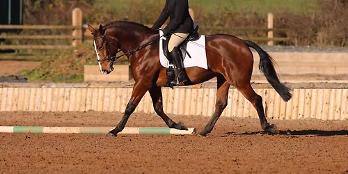 SJ exercises - Julia Gourley