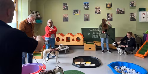 Beginner\u2019s obedience