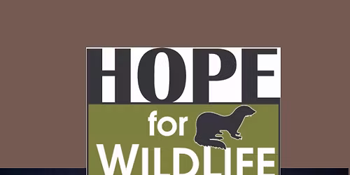 Hope For Wildlife 