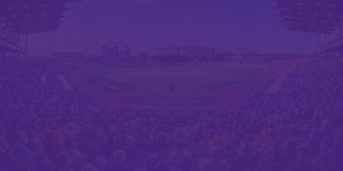 LSU Tigers vs. LSU New Orleans Privateers Baseball