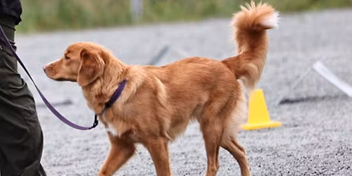 Dobbelt Rallylydighetsstevne og regionsmesterskap 2-3 mai 2026
