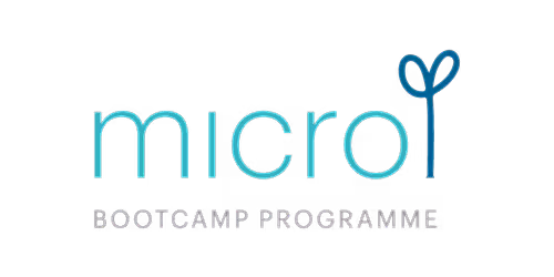 Micro Bootcamp 33