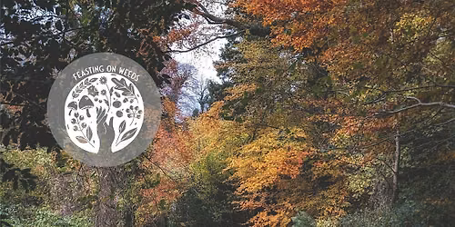 A Winter Gathering at Belvoir Forest - Fundraising for PCRF