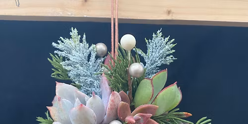 Succulent ornament class