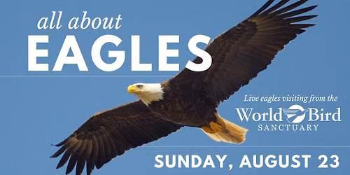 All About Eagles with World Bird Sanctuary