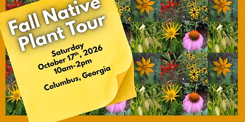Fall Native Plant Tour
