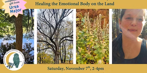 Botany and the Body series: Healing the Emotional Body on the Land