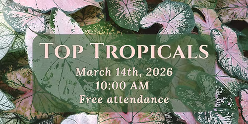 Top Tropicals 