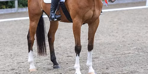 Quest & Unaffiliated Dressage Series