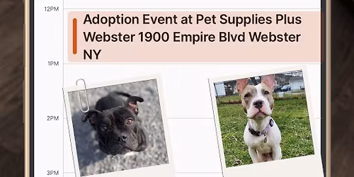 Pet supplies plus Adoption Event