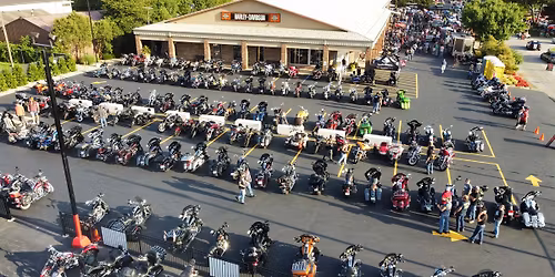 Bike Night